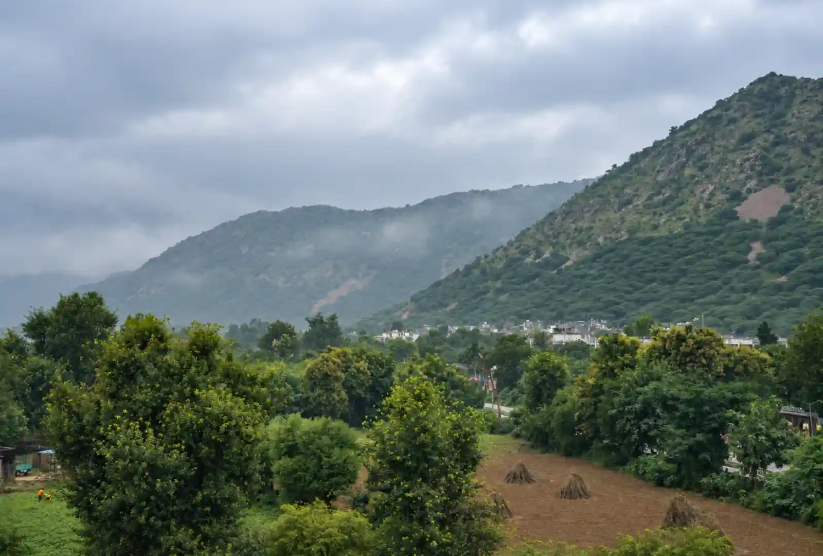 Golden Bagh Luxury Sanctuary Arrival & Porch